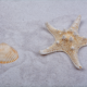 Bintang laut berduri, predator terumbu karang